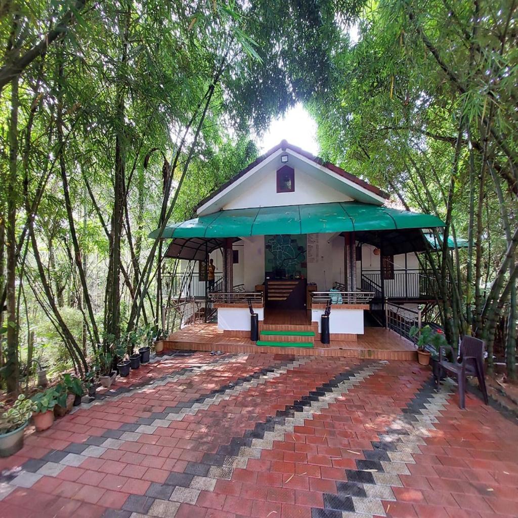 Misty Morning Resorts Wayanad photo 2
