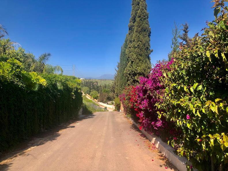 Casita Azahar Andalucia photo 1