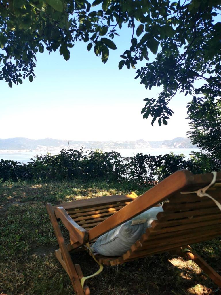 ZELENA OAZA - kuca za odmor photo 4