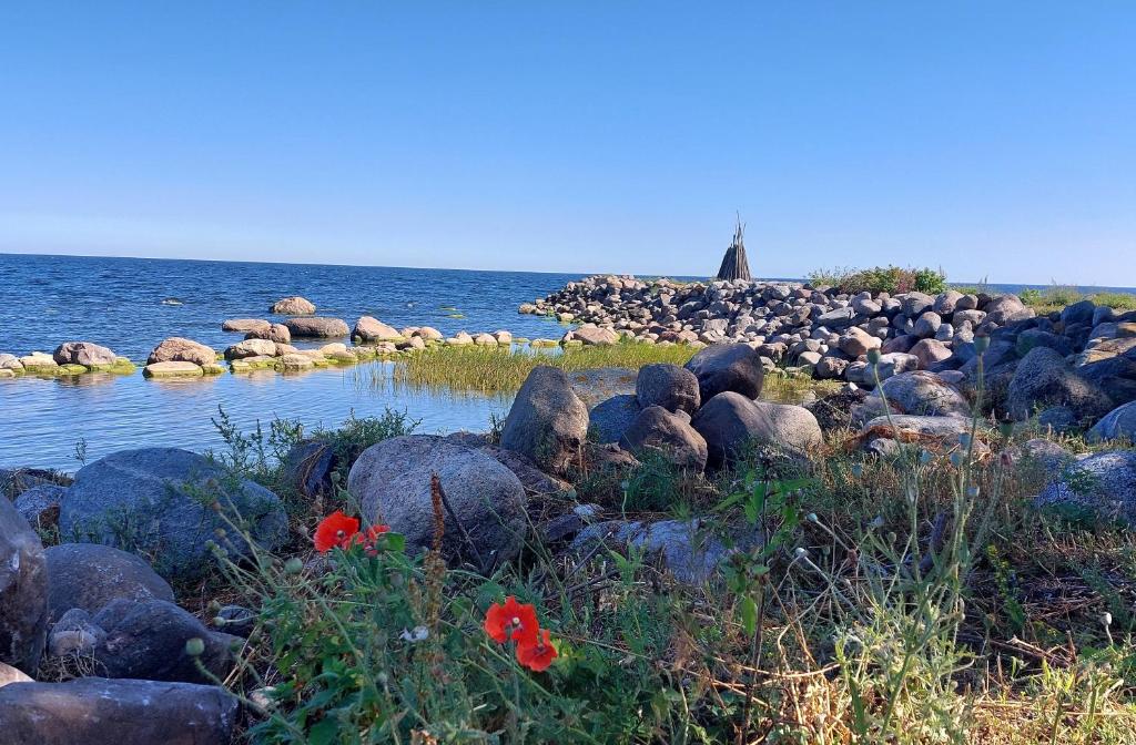 Vainupea puhkemaja photo 2