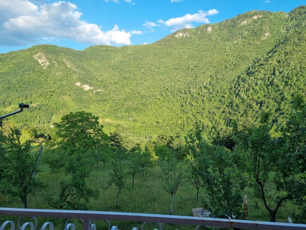 Green photo 4