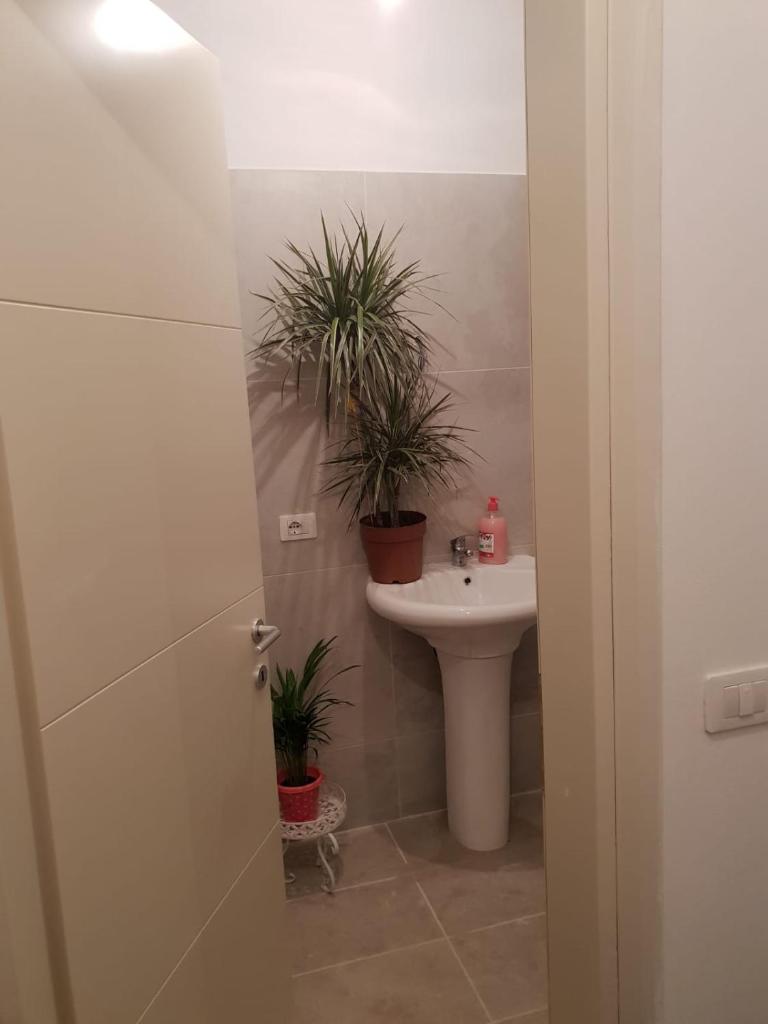 Kingu's Apartment photo 4