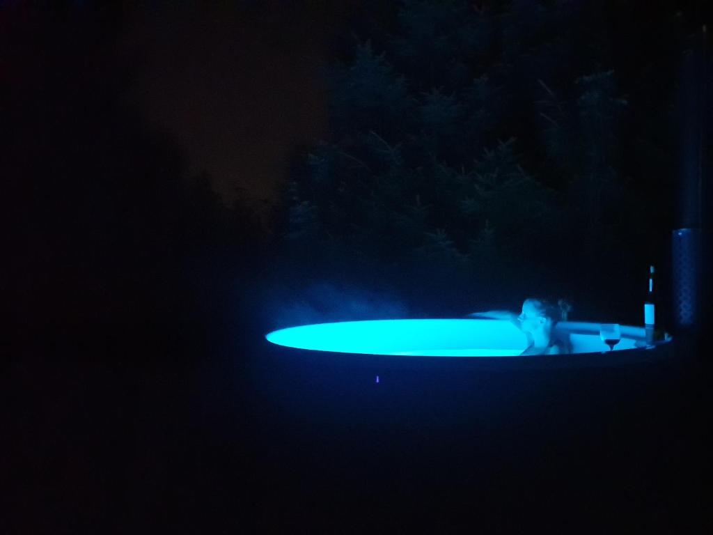 Leśne zacisze - dom z kominkiem i balią photo 2