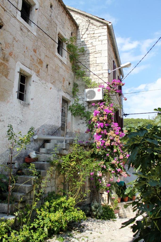 Apartments by the sea Pucisca, Brac - 770 photo 2