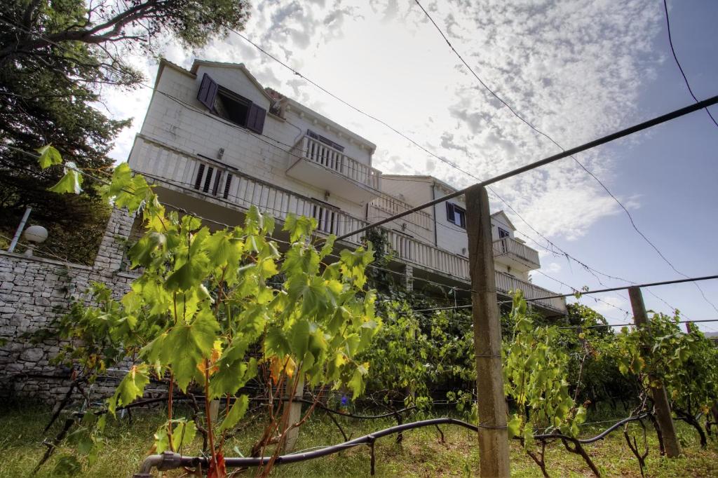 Apartments with a parking space Pucisca, Brac - 756 photo 1