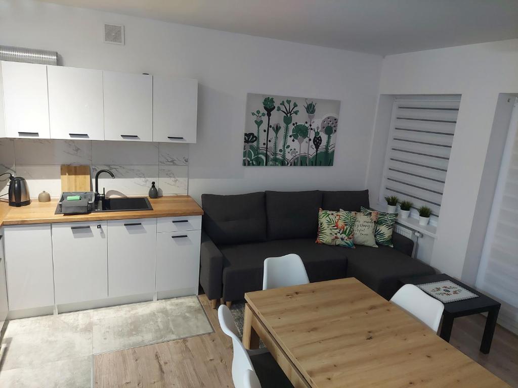 Apartament River Skierniewice photo 3