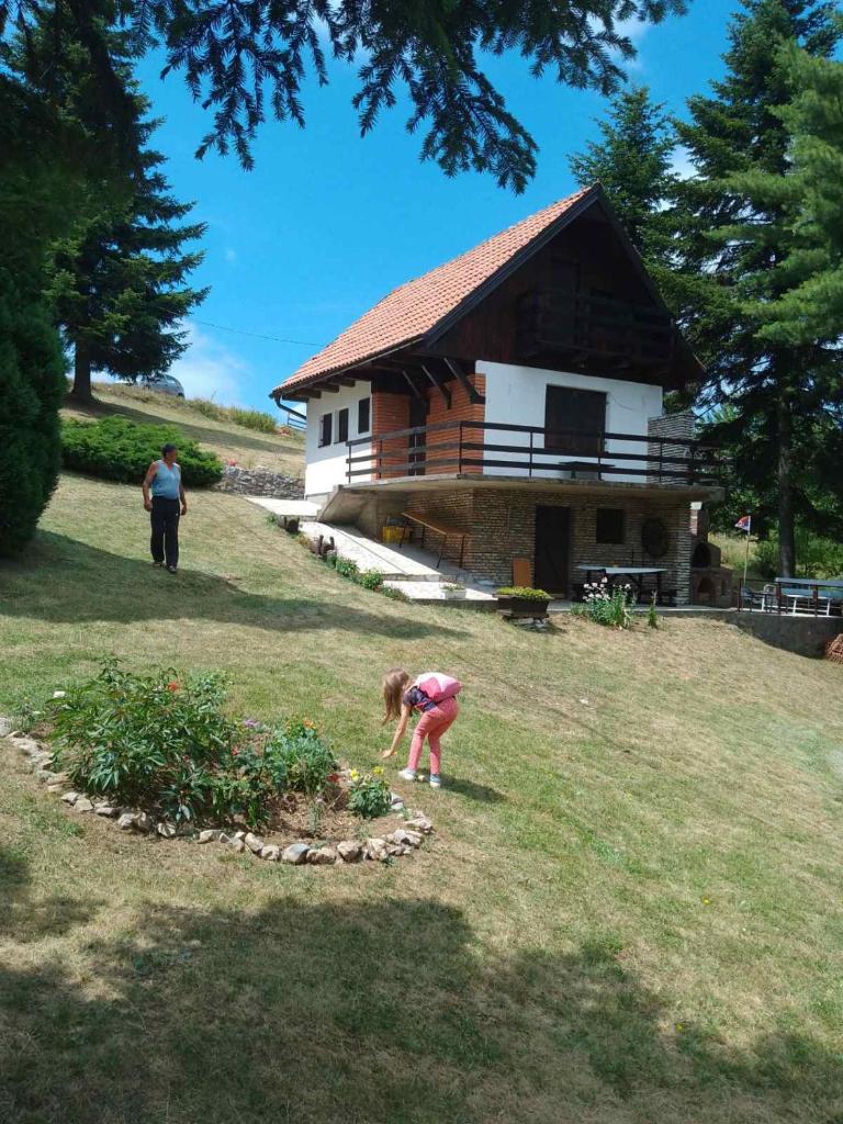 Apartmani Planinska kuća, Jagodnja photo 1