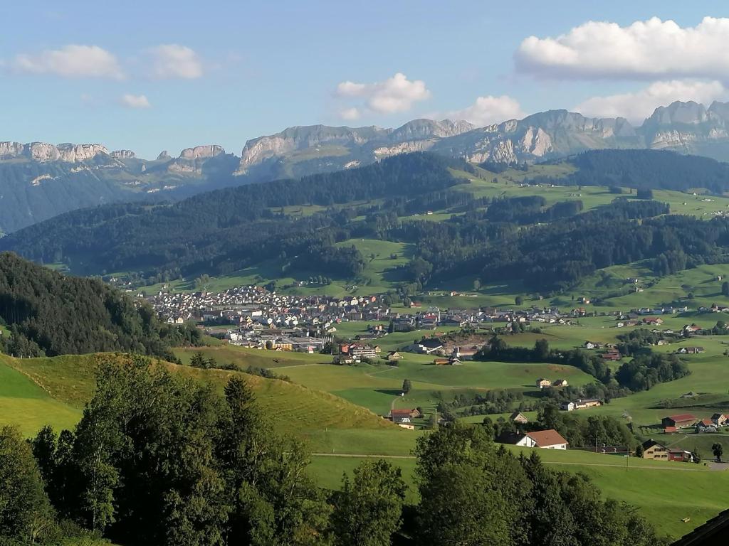 Gasthaus Bären Schlatt photo 4