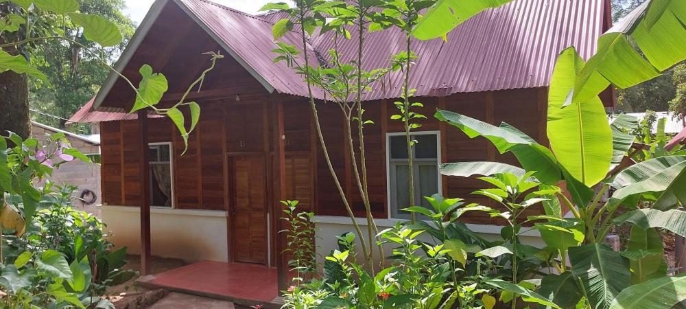 Cabañas Yax-ha photo 4