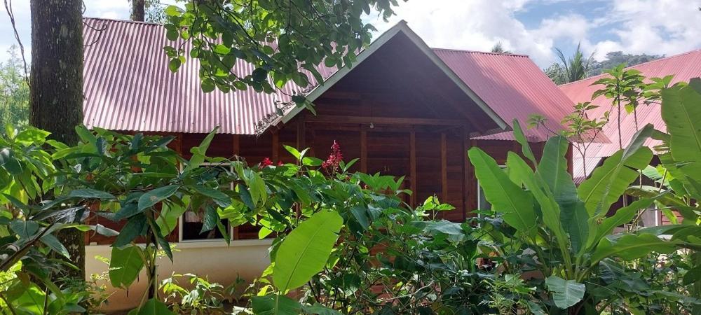 Cabañas Yax-ha photo 1