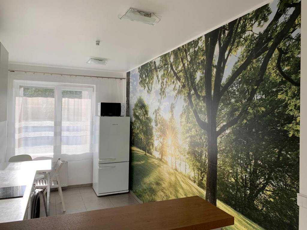 Spa Druskininkai Apartment photo 4