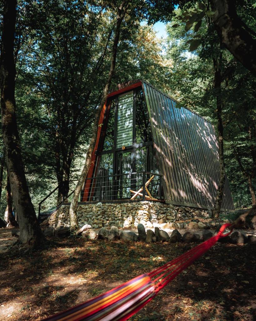 Eco Village In The Forest photo 1