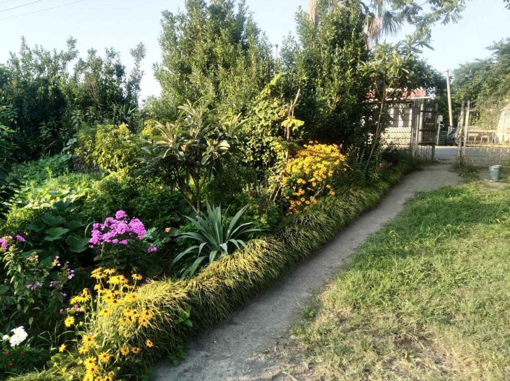 Roin Guest House photo 2