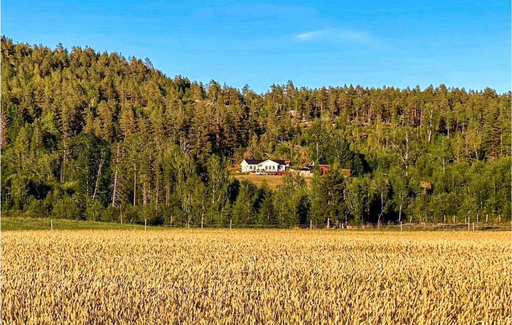 Beautiful Home In Lunde With Wifi And 3 Bedrooms photo 3