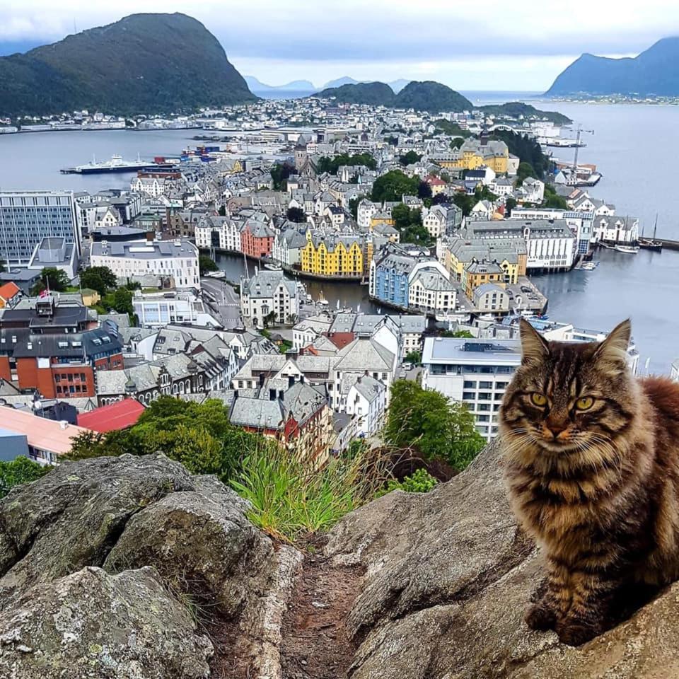 Ålesund Apartment with free parking photo 2
