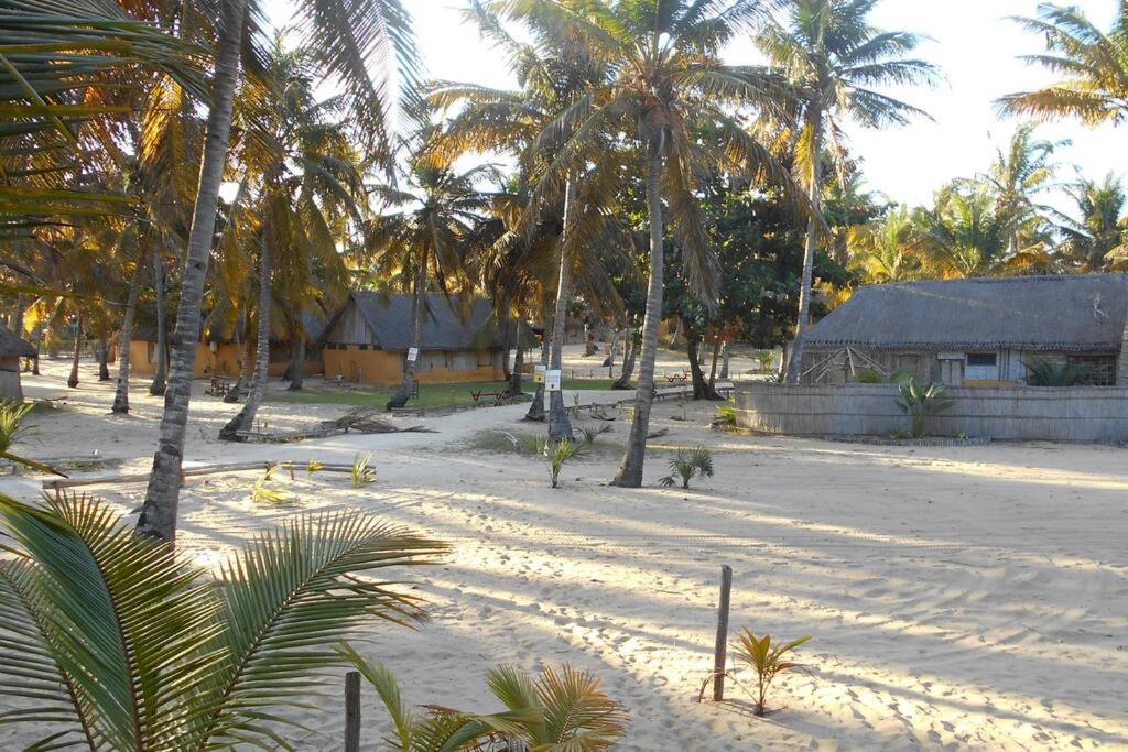 Casa Coco Palmeira photo 2