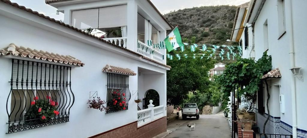 B&B Villa Deseada photo 1