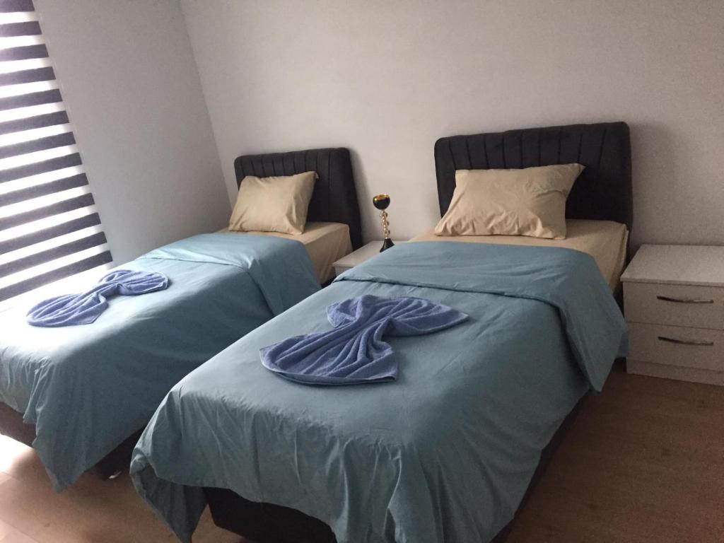 homeland residans photo 4