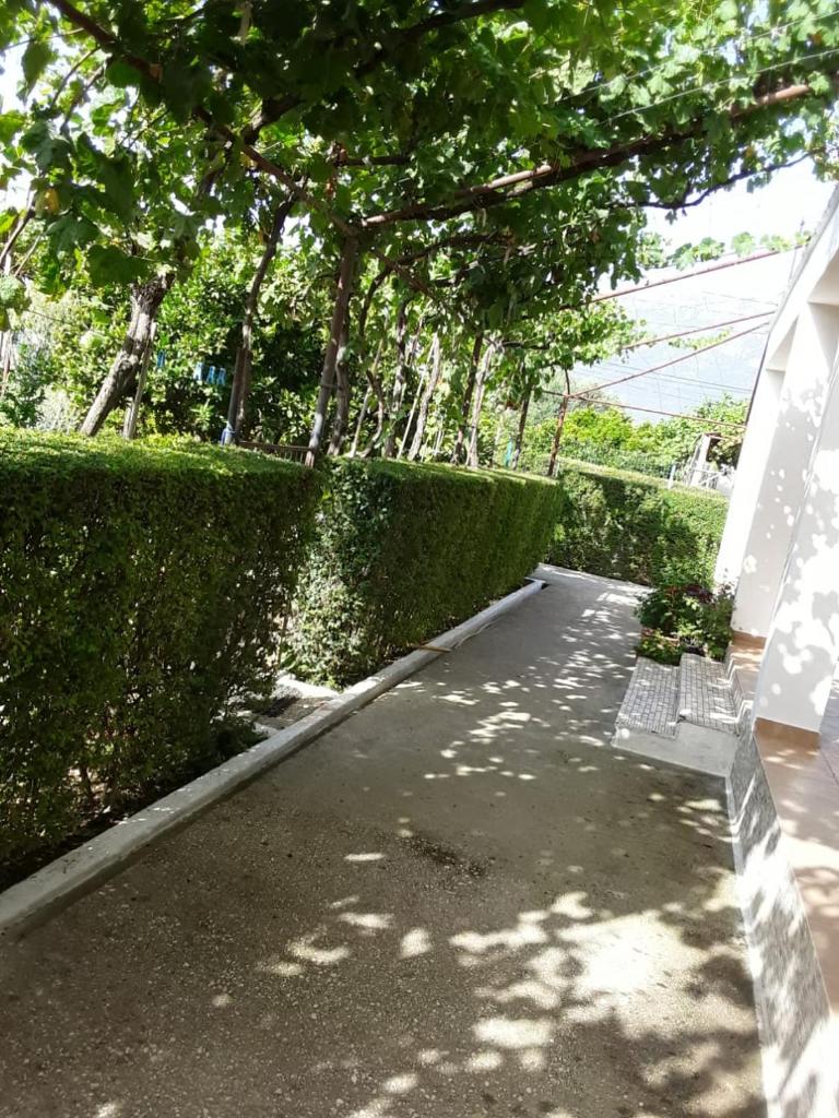 House 28 photo 2