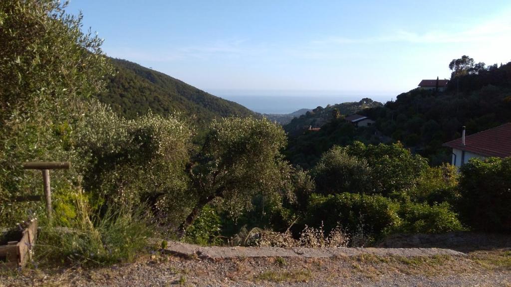 la porta del sole appartamento nell'oliveto photo 1