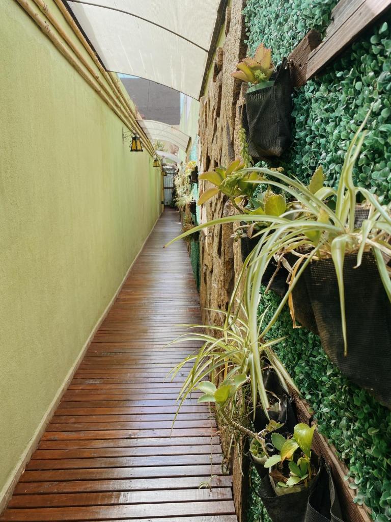 Loft Garden's