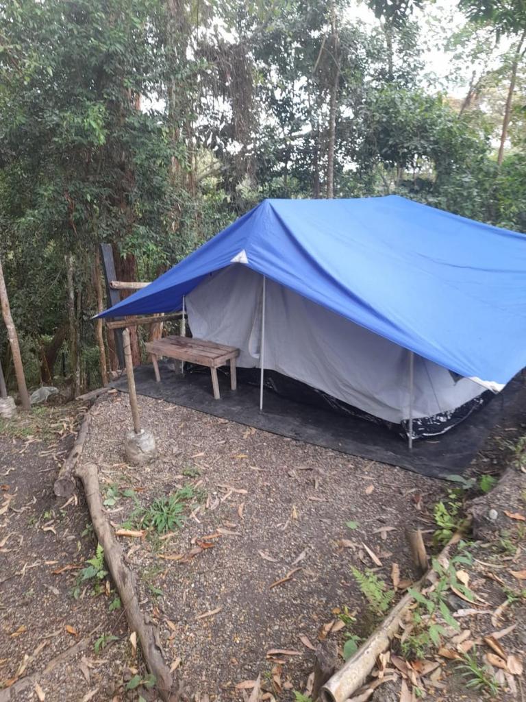 Refugio los naranjales photo 4