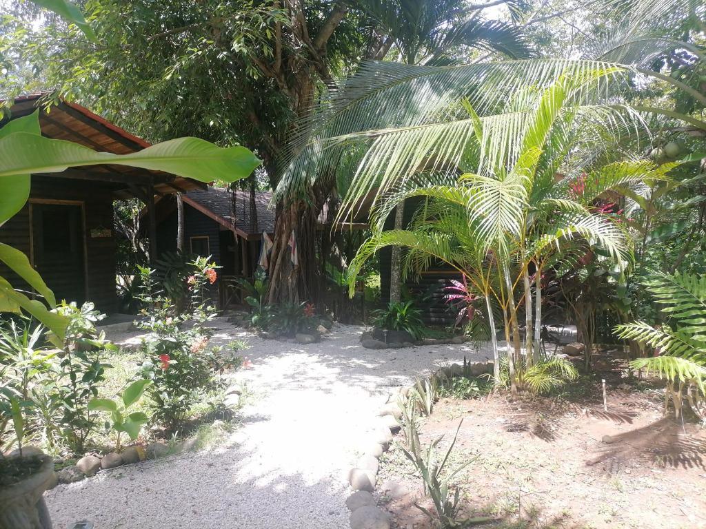 Casa el Colibrí photo 2