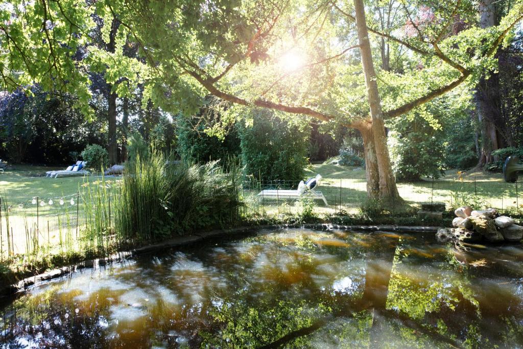 Le Jardin des Plumes photo 4