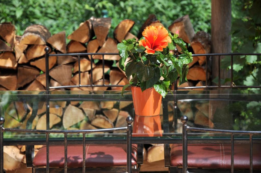 Casa del Sol photo 1