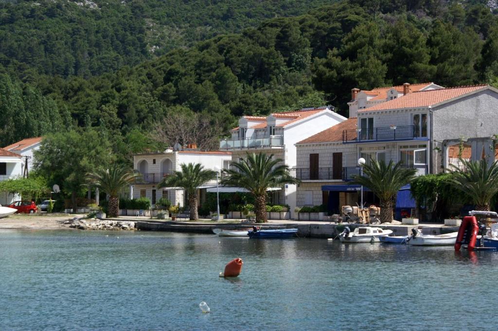 Apartments by the sea Zuljana, Peljesac - 4577 photo 1