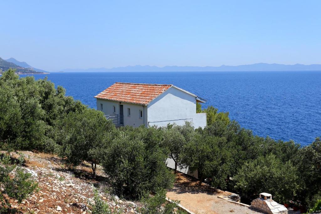 Apartments by the sea Dingac - Potocine, Peljesac - 4533 photo 1