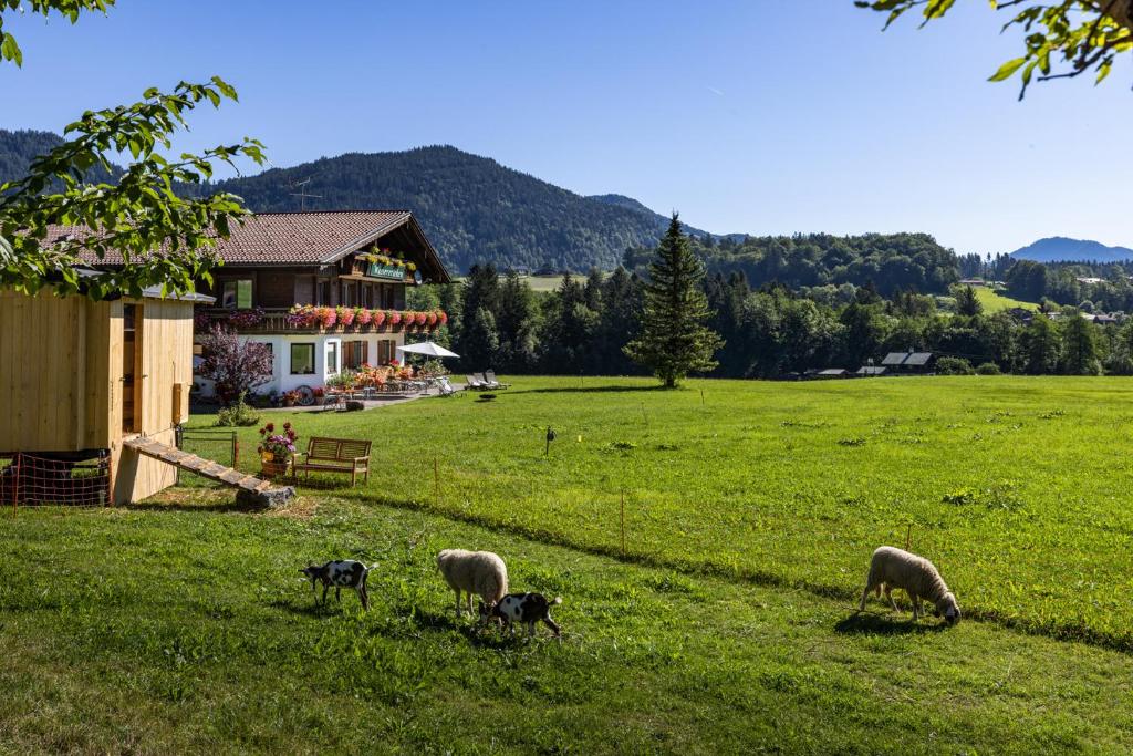 Wassererlehen photo 3