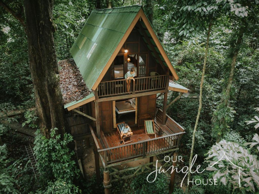 Our Jungle House photo 1