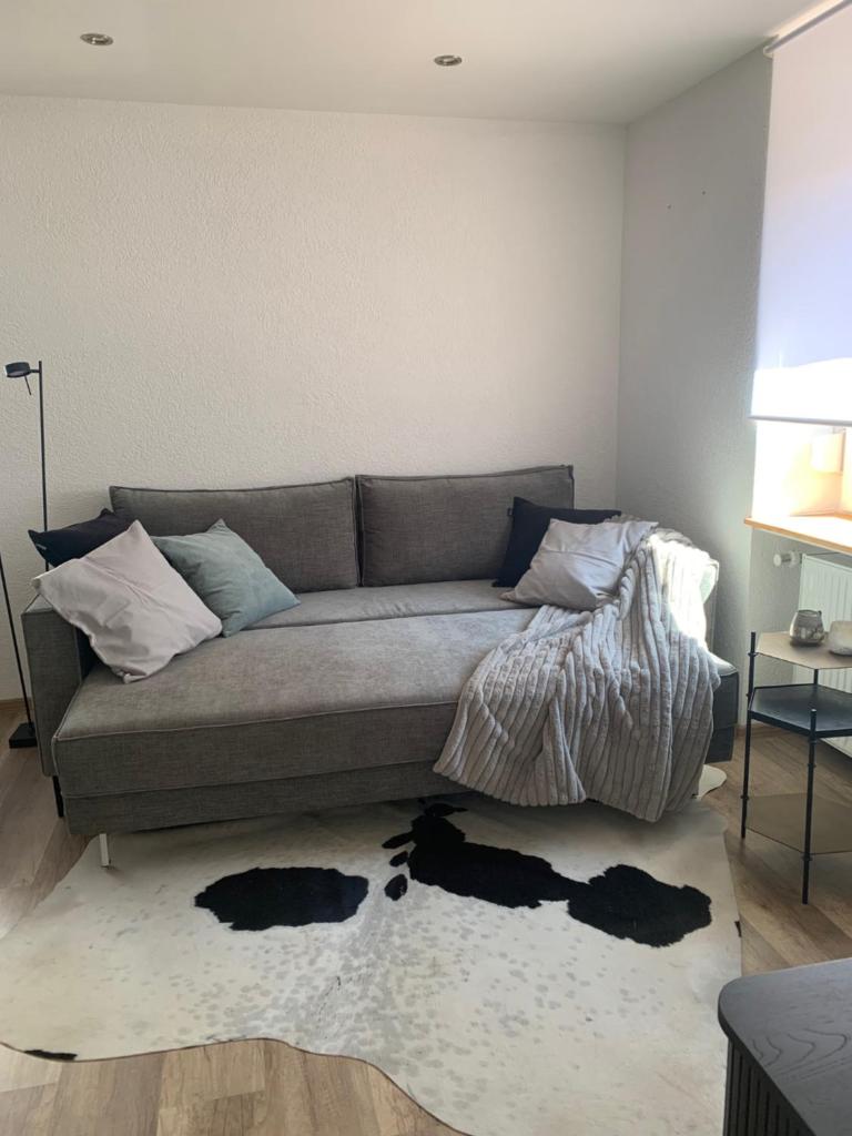 Nibelungen Boardinghouse 1 Zimmer Apartment photo 2