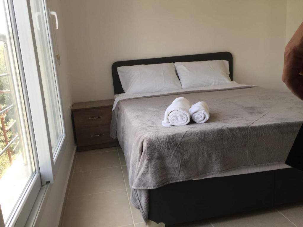 Suluca Homes photo 3