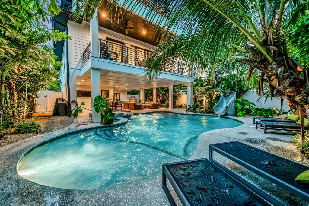 Endless Summer in Sarasota image