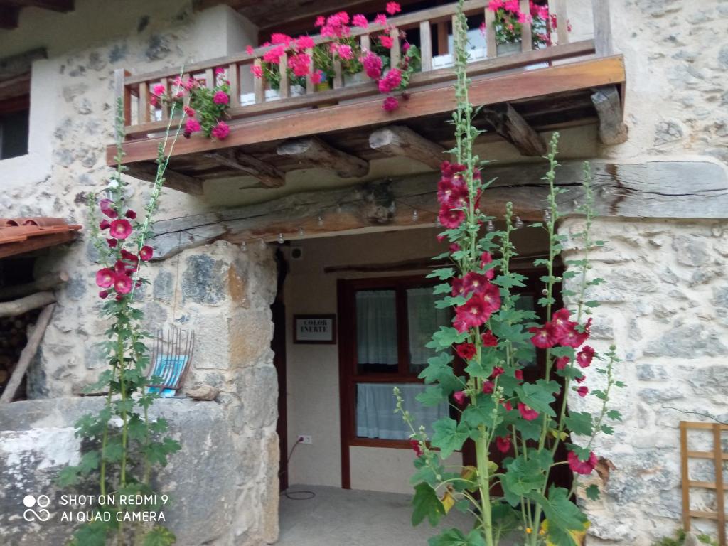 Belaustegi turismo rural photo 3