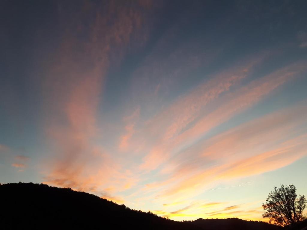 Source Nature photo 3