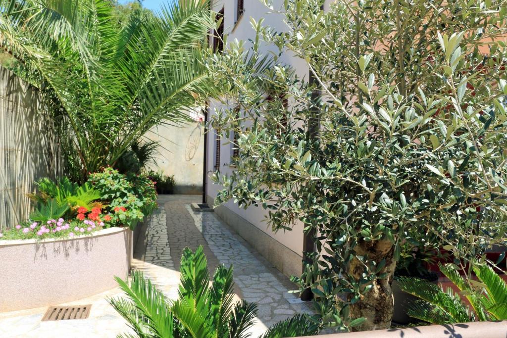 Apartment Rabac 7429a photo 4
