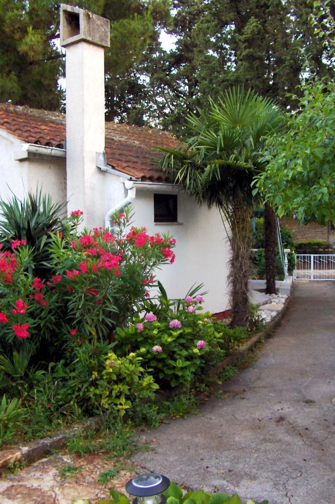 Seaside holiday house Umag - 7632 photo 1