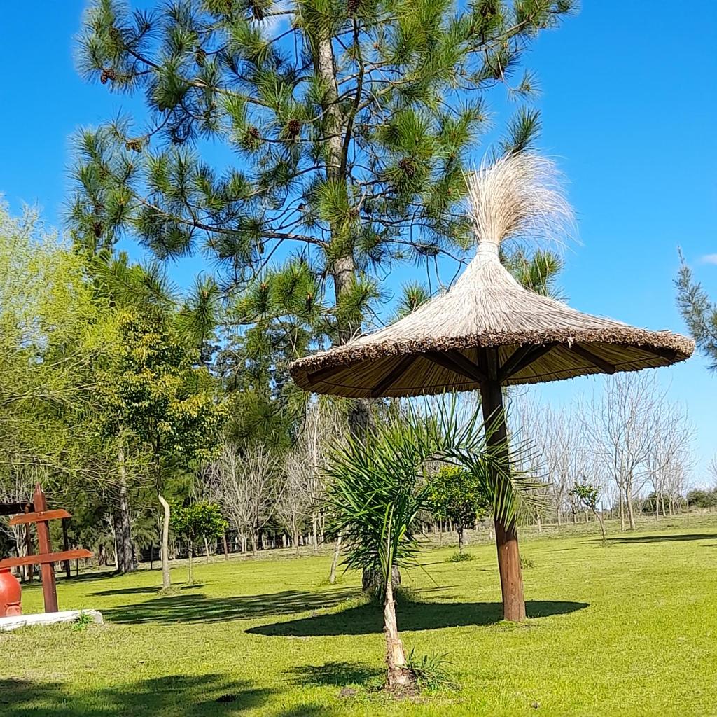 La Cipriana photo 3