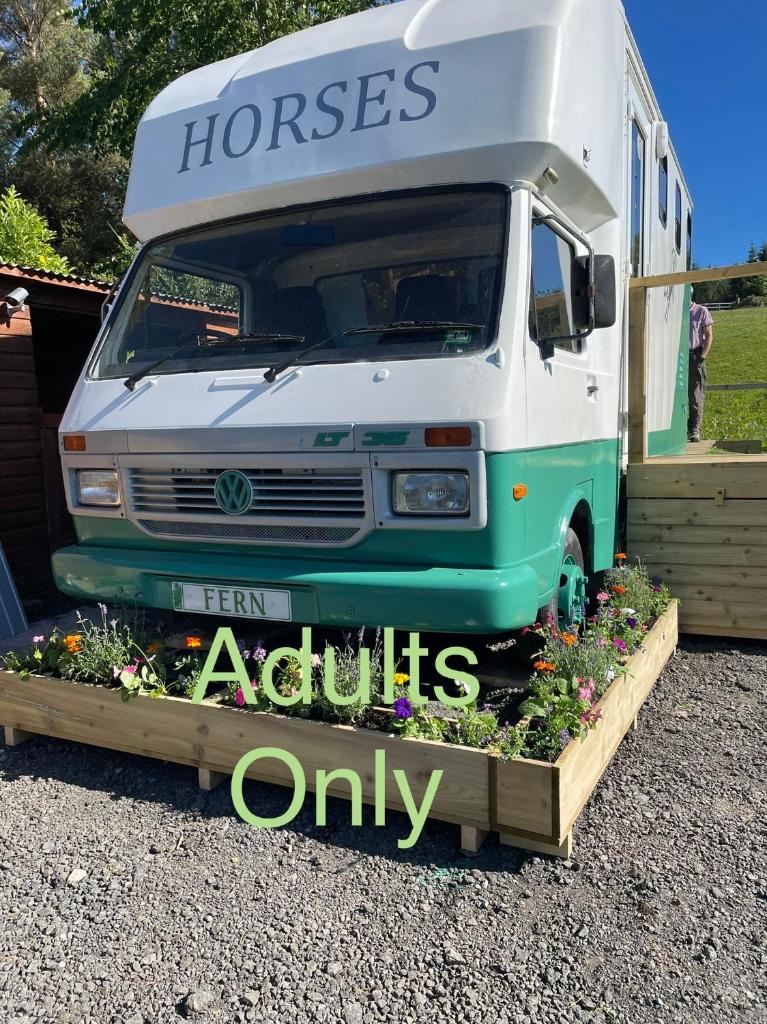 Pant y Rhedyn Glamping and camping site photo 2