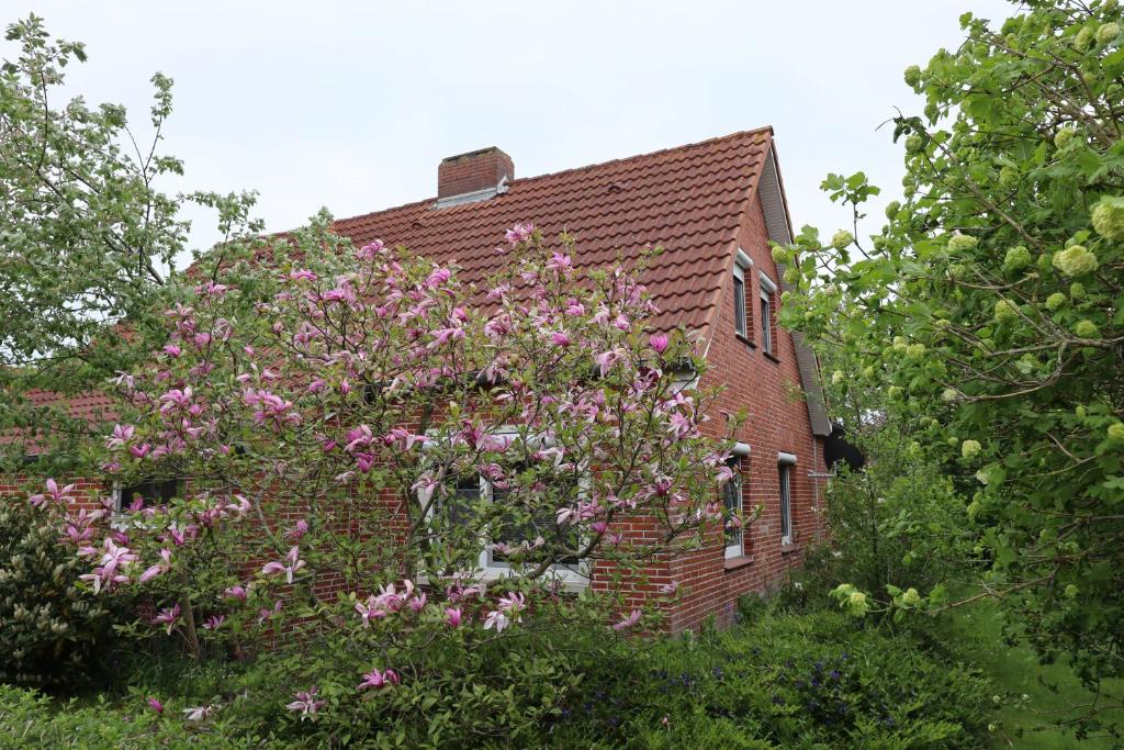 Haus Flieder photo 1