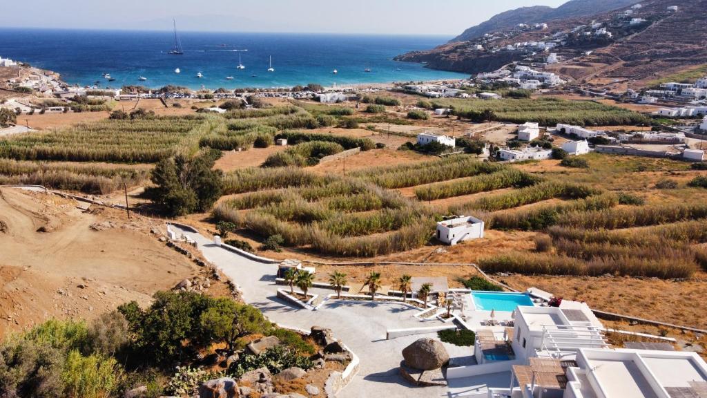 Mykonos4Islands Seaside Apartments photo 3