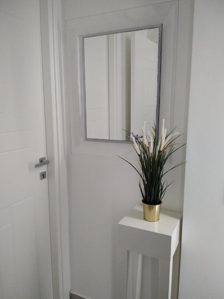 Terra Mia Suite photo 4