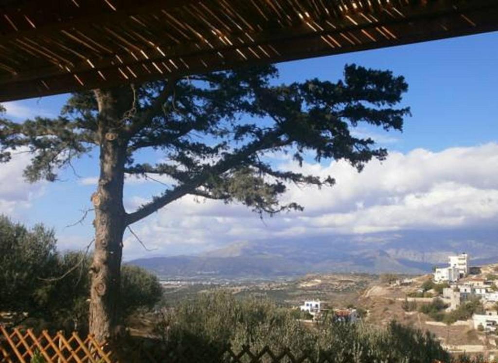 Kyparissi photo 1