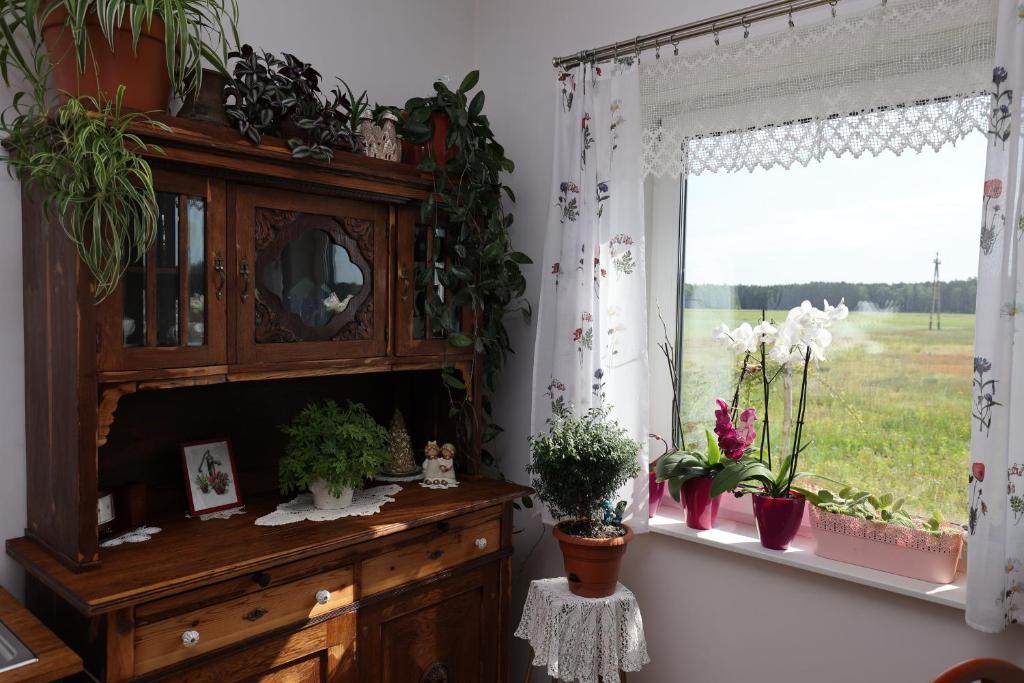 Zielona Przystań photo 4