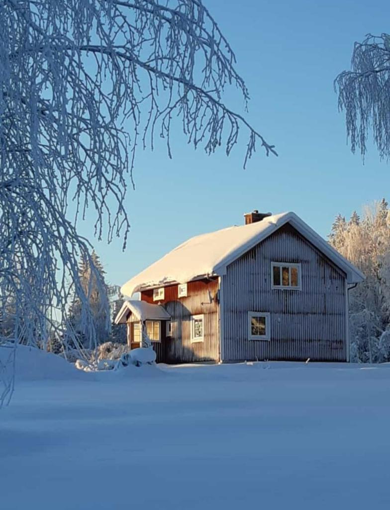 ,,Björklunda" cozy apartment in swedish lapland photo 2
