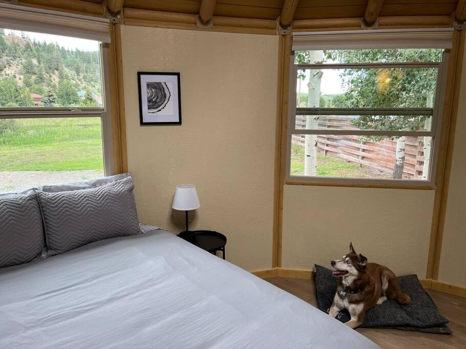 Lodgepole Yurt at Aspen Ridge Cabins photo 3