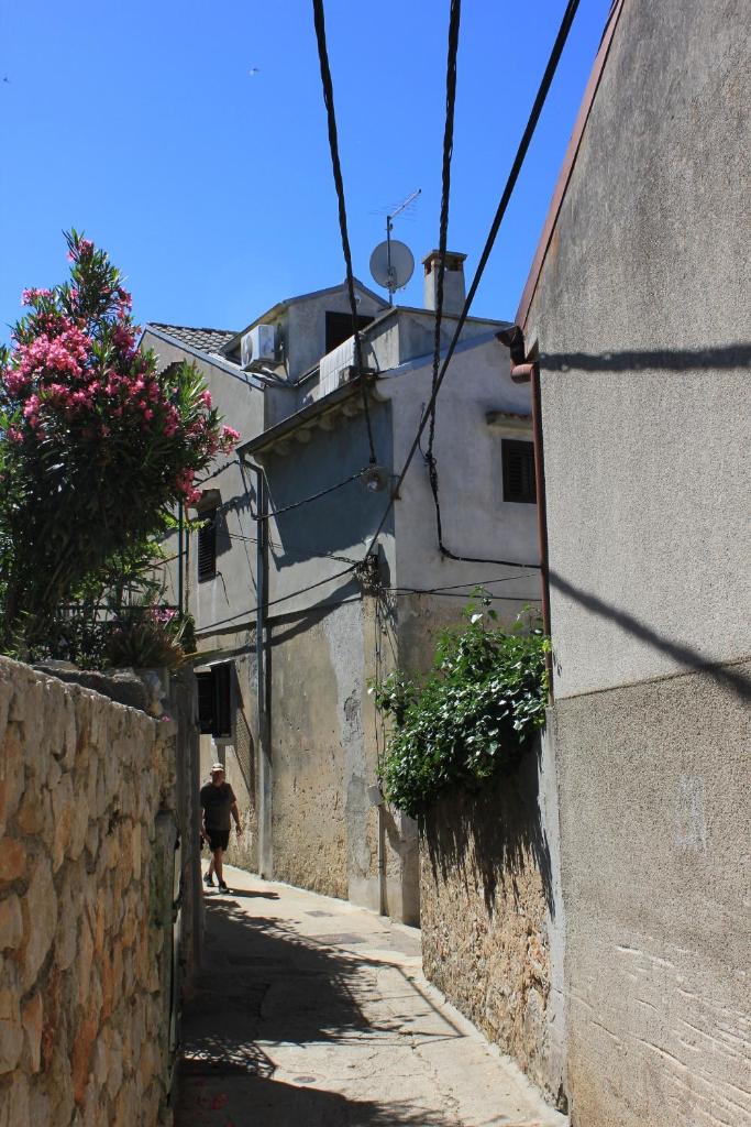 Apartments with a parking space Mali Losinj (Losinj) - 8053 photo 2